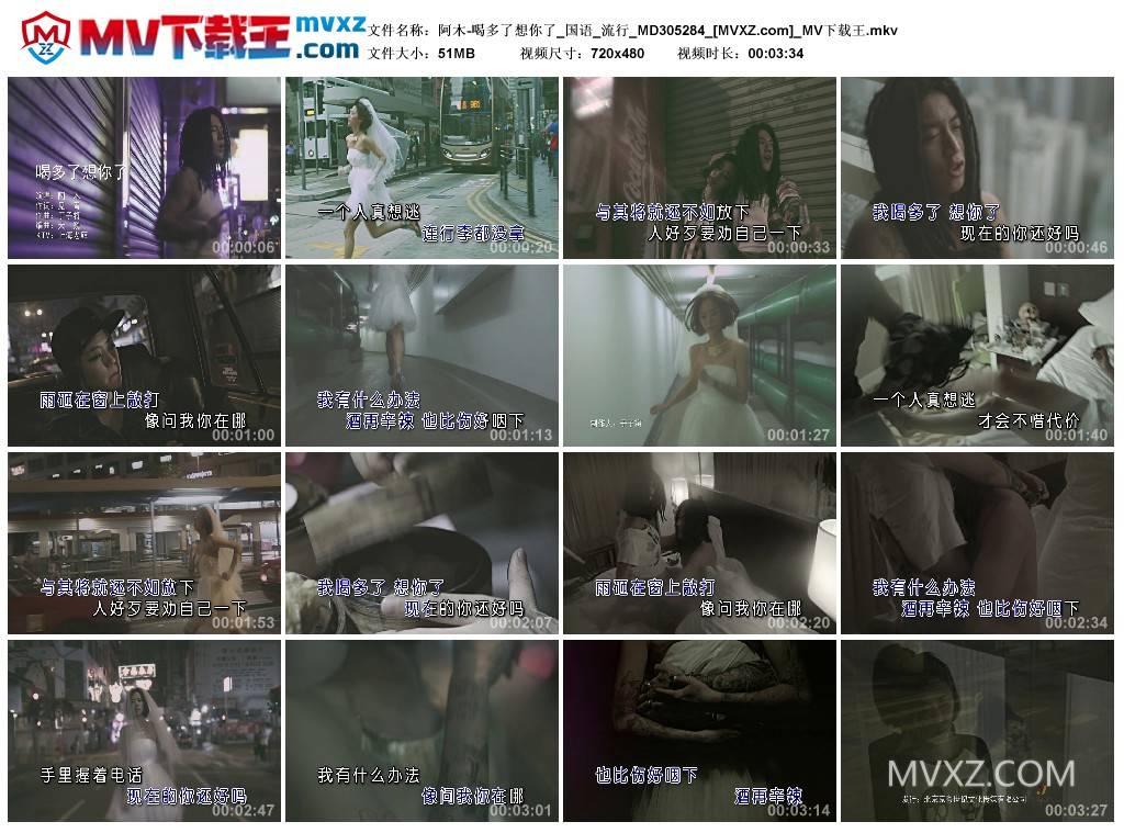 阿木-喝多了想你了_国语_流行_MD305284